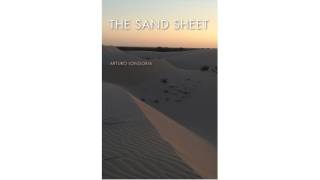 The Sand Sheet (The Seventh Generation: Survival, Sustainability, Sustenance in a New Nature)