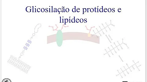 O que é processo de glicosilação?