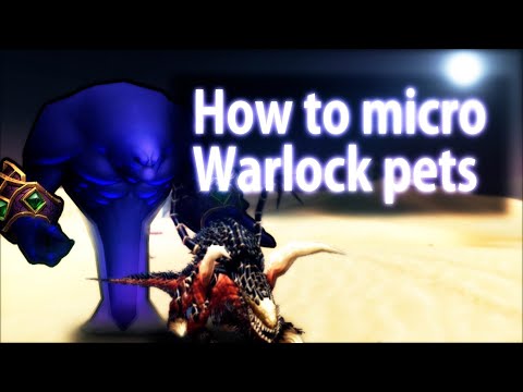 Xuen | How to micro-manage Warlock pets with the use of macros | Classic WoW