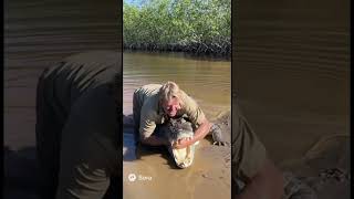 Wildlife tutorial. #wildlife #crocodile #australia #weirdvideos