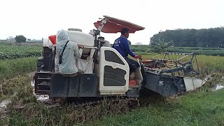 combine harvester kubota DC 35