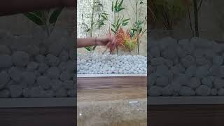 Knife Spinning Tutorial