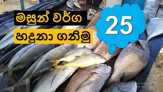 මසුන් වර්ග 25 ක් | 25 fish species