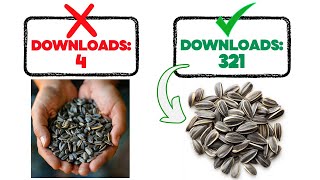 Every Microstock Portfolio Needs to Upload These Images...