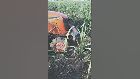 R N AGRO REVERSE FORWARD Rotavator 2 in 1  rotary tiller. वि. मिनी रोटावेटर 2 इन 1