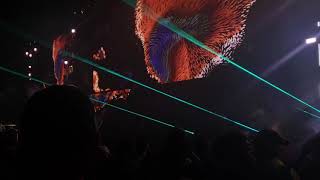 Illenium live at Lost Lands. Where'd U Go with a little spice of Fort Minor and Game Of Thrones.