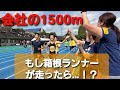 箱根駅伝ランナーが会社の運動会1500ｍに参加したらヒーローになれる説