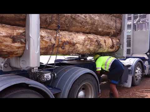 Chain lashing in NZ log haulage - ExTe TU auto-tensioners