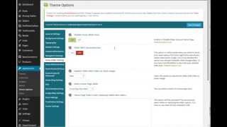 home page slider settings -  reward themes - next generation wordpress themes Net Worth