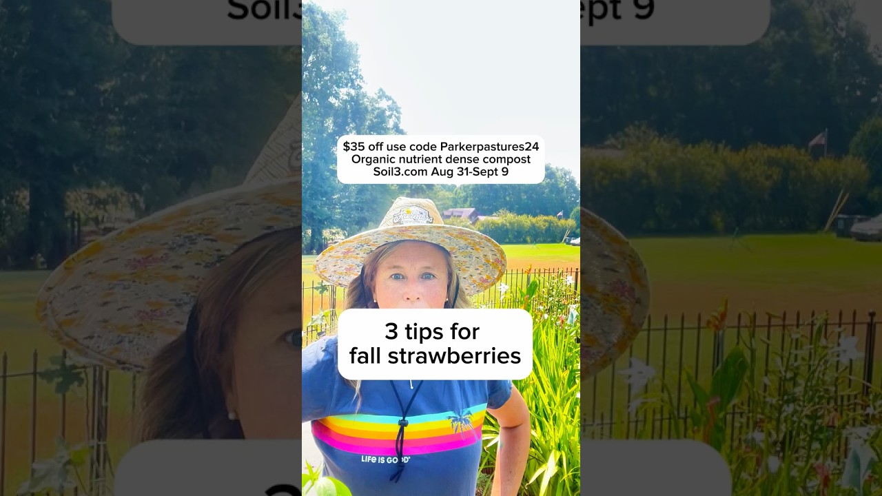 Growing strawberries is pretty easy. 