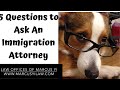 5 Questions to Ask When Hiring an Immigration Attorney / O1 Visa Lawyer