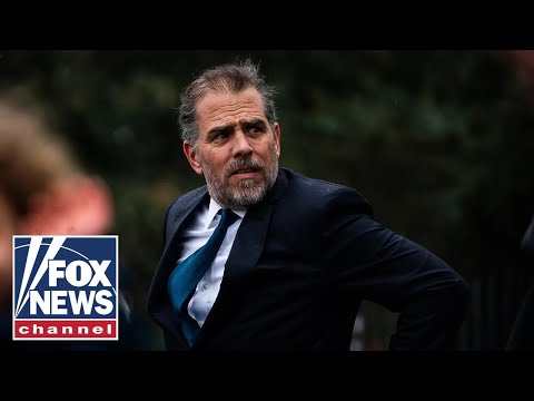 China's lavish gift to Hunter Biden was an attempt to buy 'influence': Johnson
