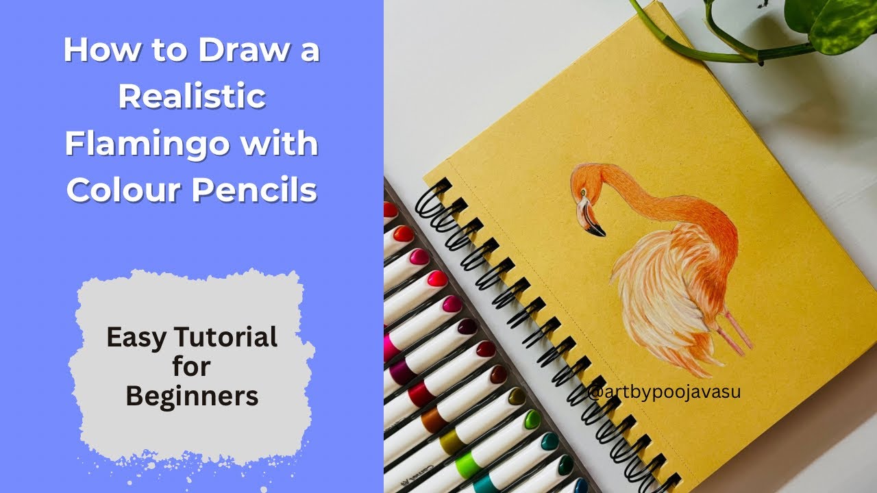How to Draw a Realistic Flamingo | Easy Colour Pencil Tutorial for ...