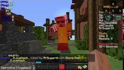 Visual glitch in SG lmao Mineplex