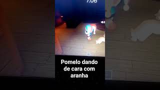 Pomeli. dando de capa com aranha