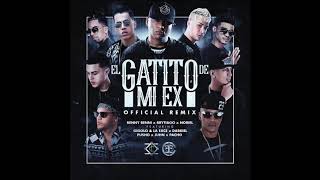 El gatito de mi ex remix