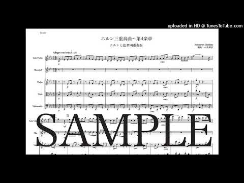 ブラームス「ホルン三重奏曲〜第4楽章」ホルンと弦楽四重奏版（編曲：中島雅彦）