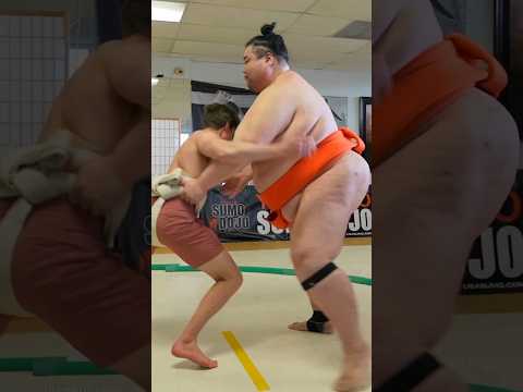 Why are womens attracted to sumo wrestlers?