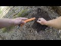 We found lot's of coins  metal detecting Oregon beach