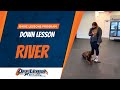 Basic lessons program  down lesson  off leash k9 training