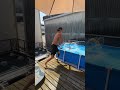 パパを落とせ！ #shorts