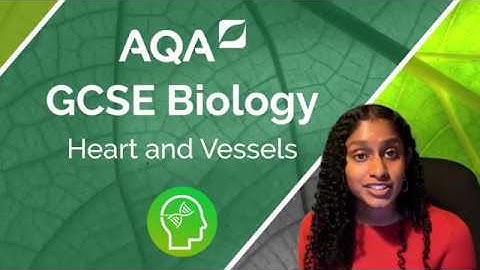 AQA GCSE Biology: The Heart and Blood Vessels
