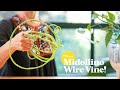 MIDOLLINO WIRE VINE! / Tips & Techniques with Hitomi Gilliam