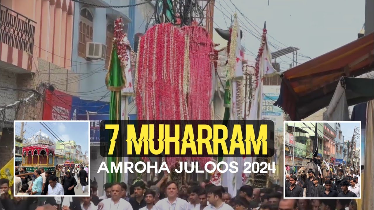 7 Muharram | Amroha Juloos 2024 | Alam | Zuljana | Araish | Ooth | Hussaini Baja | Amroha Azadari