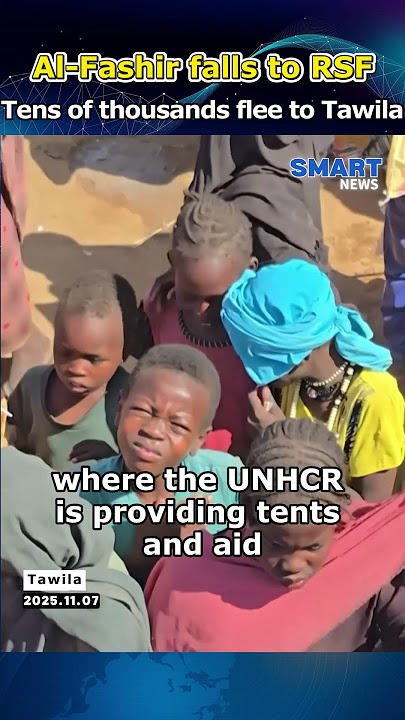 Sudan’s Al-Fashir falls to RSF, tens of thousands flee to Tawila