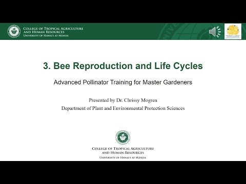 Module 3 Bee Reproduction and Life Cycles