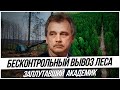 Бесконтрольный вывоз леса из Беларуси. Заплутавший в трех соснах  академик.