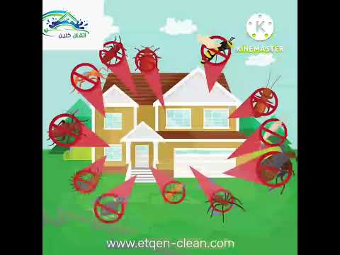 شركة مكافحة الصراصير بجدة شركة إتقان كلين من أفضل شركات رش الحشرات بجدة تستخدم أفضل المبيدات الألم