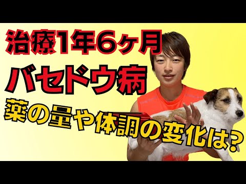 バセドウ病治療1年6ヶ月!今までの経過!薬の量や副作用・体調の変化について。甲状腺機能亢進症 メルカゾール hqdefault