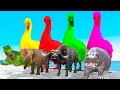 Choose the Right Duck Cartoon Animal Crossing Fountain with Buffalo T rex Cow Gorilla Wild Animals
