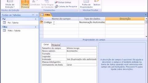 Aula 1 - Criando um Simples Banco em Access