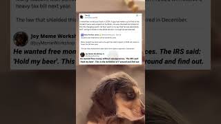 The Brutal Reality Of "Free" Student Loan Money 📉 #funny #memes #pets