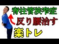 【脊柱管狭窄症】反り腰を改善する楽々トレーニング 誰でも簡単に出来る筋トレです 【脊柱管狭窄症専門】の整体院をお探しなら整体院AIN-アイン-へ