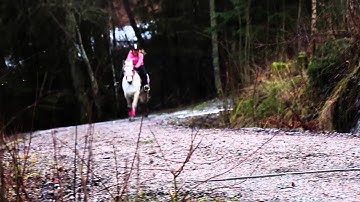 мσℓℓу σηє уєαя - ρєяƒє¢т ∂ιѕαѕтєя