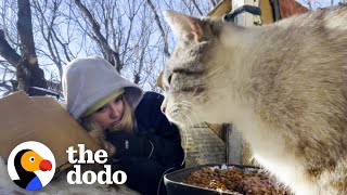 Woman Rescues Cats By Laying In The Snow In -40 Degrees | The Dodo Heroes