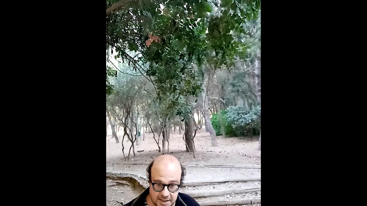Ποίηση στους δρόμους της Αθήνας-Παύλος Φύσσας