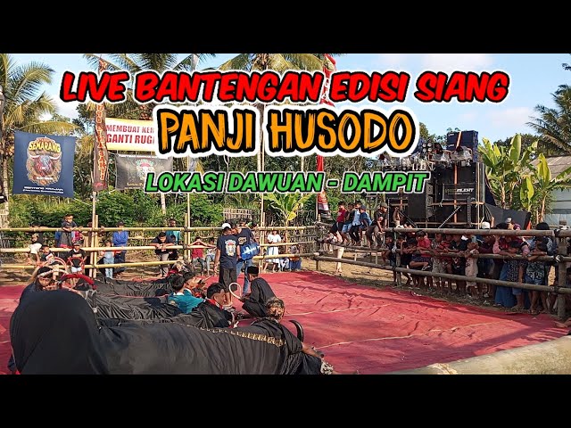 Live PANJI HUSADA‼️LOKASI DAWUAN - DAMPIT❗ class=