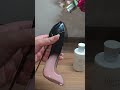 سلسلة العناية بالعرائس عطور شهر العسل