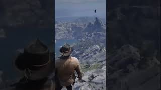 Jumping from the highest point in RED DEAD REDEMPTION 2