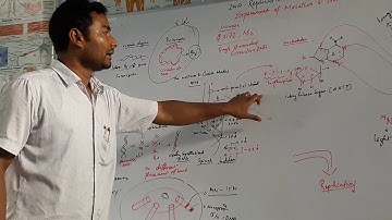 CSIR NET LIFE SCIENCE:Meselson and stahl experiment for DNA replication as a semiconservative model