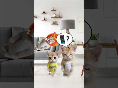 Lost ninetendo switch & baby Banana cat KFC Reward