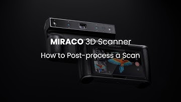 Revopoint MIRACO 3D Scanner: How to Post-process a Scan