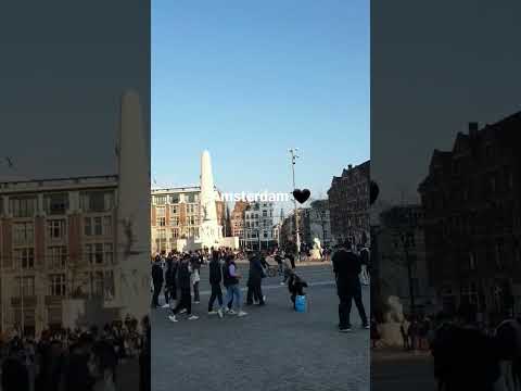 فيديو: الساحات الشهيرة (Pleinen) في أمستردام ، هولندا