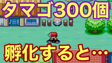 ペレはいつでもポケモンマスター入ったこと ペレはいつでもポケモンマスター入ったこと