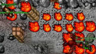 Bronson Server Smaug-Tarrasque