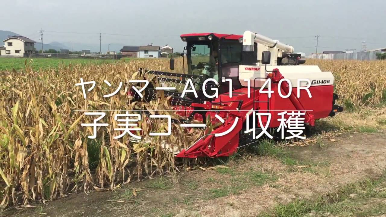 イセキ コーンカッター コーンハーベスタ コーン刈取機 RC100